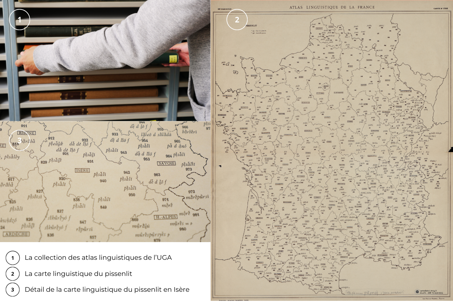 Atlas Linguistique UGA